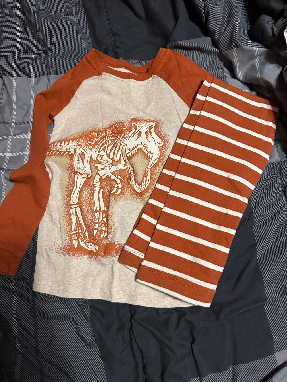 Kids' Rust & Cream Dinosaur Long Sleeve Tops - 2-Pack - Picture 2 of 4